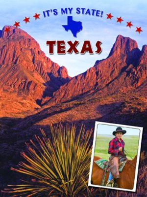 Texas - ebook